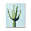 Cactus imitant le ciel turquoise par Mia Jensen-1045732852-1045732854