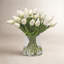 TULIP IN VASE-1950947556
