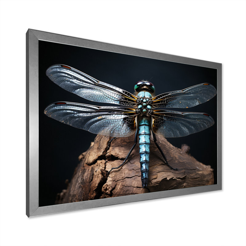 «Teal Dragonfly Portrait I», reproduction d'art sur toile, H 12 po x l 20 po x P 1 po, Cadre photo argenté