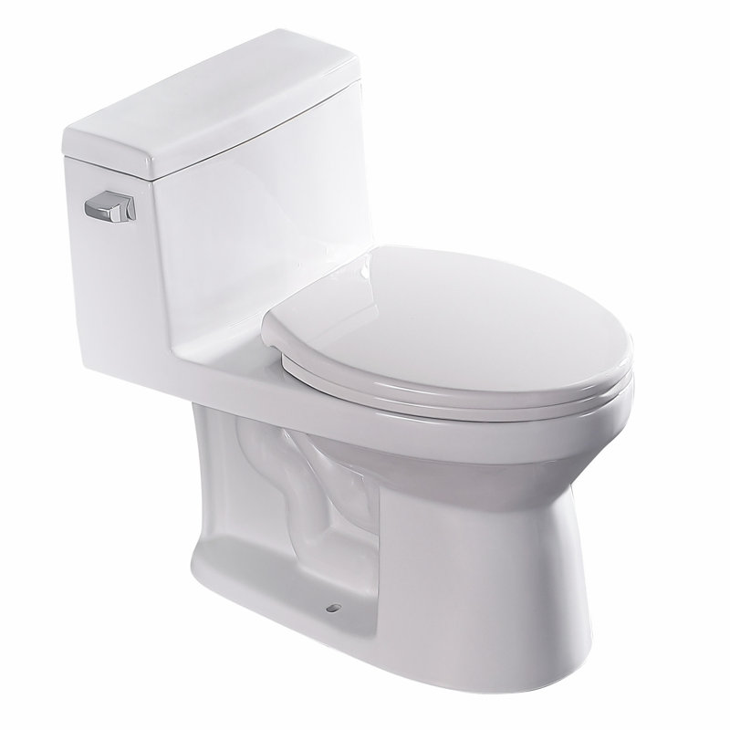 Toilette allongée une pièce à fixation au sol Créationstry GPF (siège inclus)