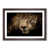 Walnut Single Picture Frame Wood selected