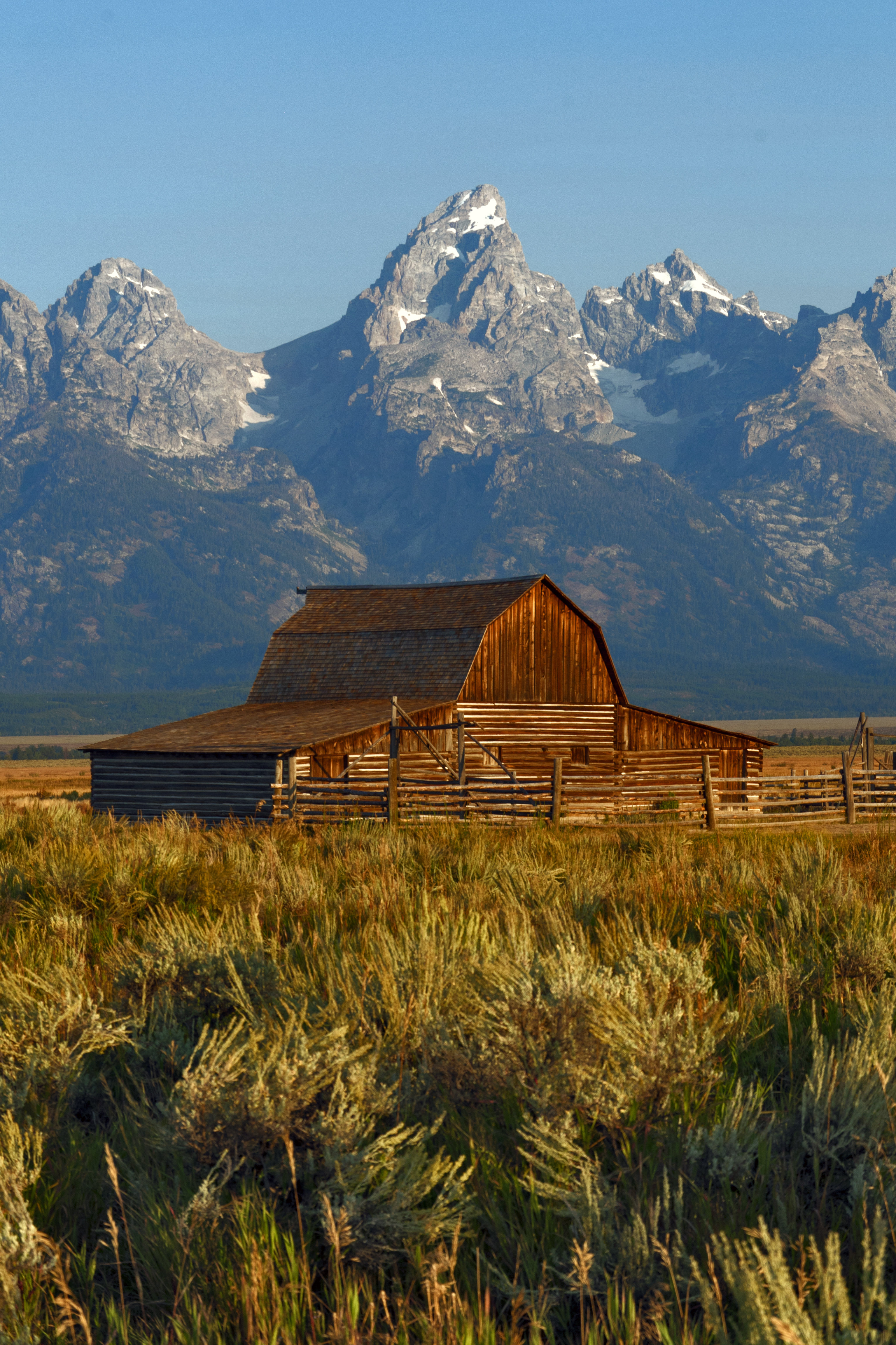 Loon Peak Grand Teton National Park - Wayfair Canada