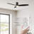 Elwina 60'' Smart Ceiling Fan with Light