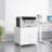  Graylen Metal Printer Stand with Storage, Storage Cabinet, File Cabinet, Office Cabinet, With 4wheels, For Small Spaces-941001039