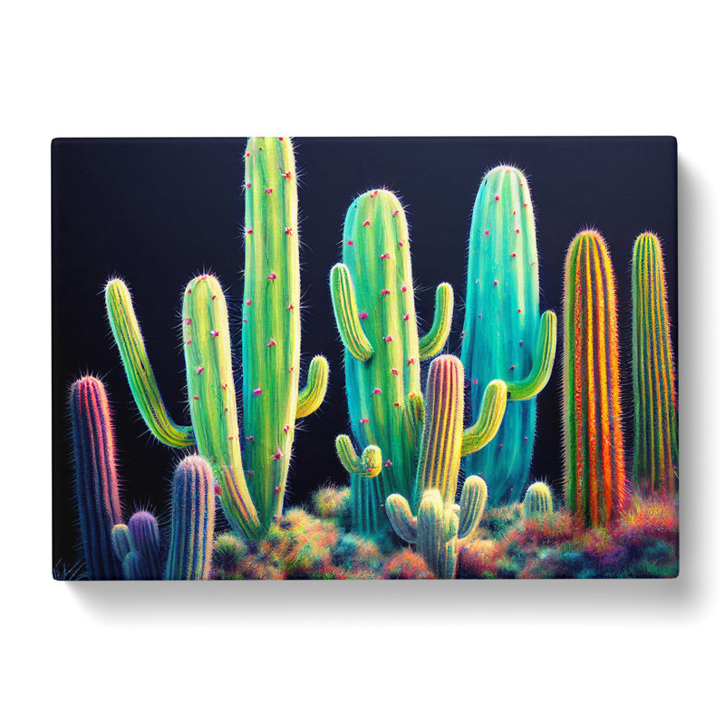 Colourful Cactus - Wrapped Canvas Print, 35cm H x 50cm W x 3cm D