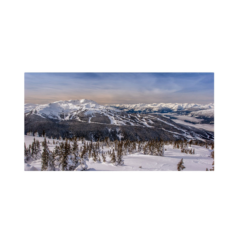 Winter Landscape Canvas Art in White and Blue