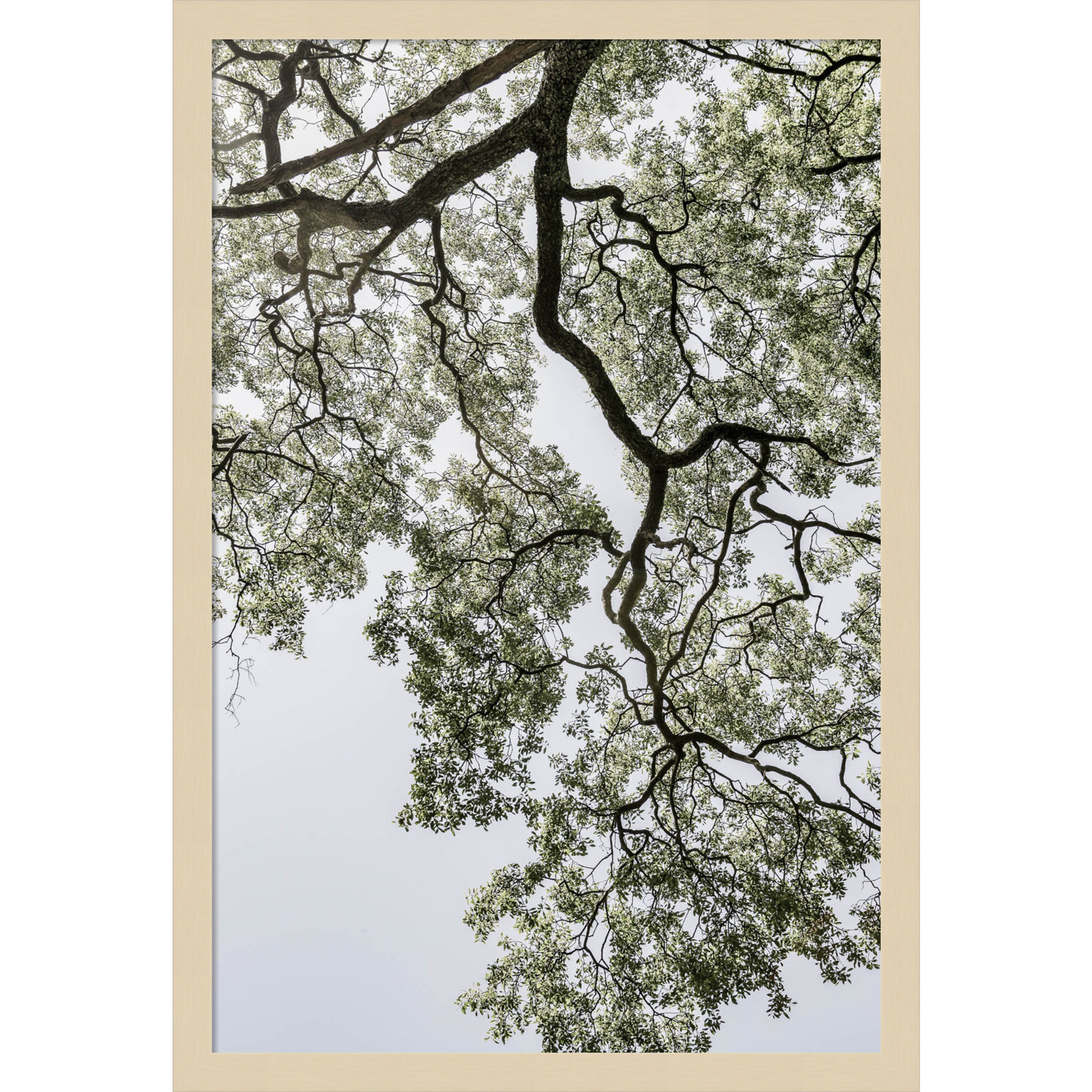 Pleasantville "Coastal Forest" Print, Brown, 25" H x 17" W