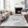 Premium Machine Washable Prisco Gray Rug