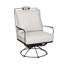Briarwood Outdoor Swivel Lounge Chair-25915895-25915906