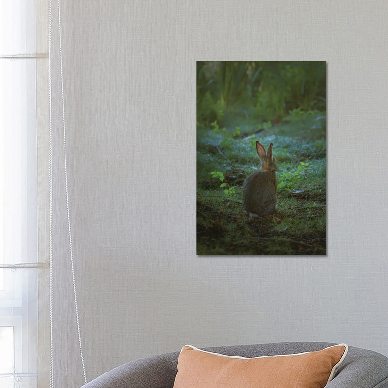 Little One Of The Forest by Louis Ruth - Wrapped Canvas Print