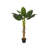 128cm Banana Leaf Tree in Planter