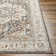 Oriental Indoor Rug