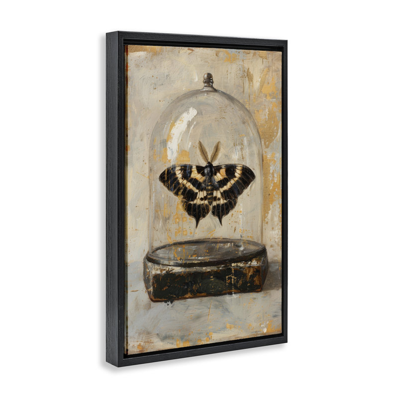 «Rustic Moth in Glass» par Petal Prints Design, H 25 po x l 17 po, Cadre flottant noir de jais