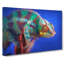 A Chameleon In Abstract - Wrapped Canvas-55300717
