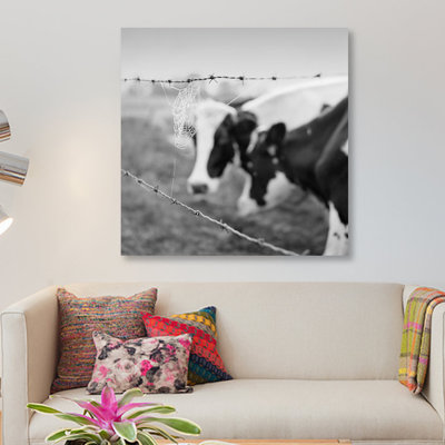 « holstein cow », photographie sur toile