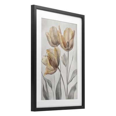 Pressed Poppies Florals Framed Print Under Glass, design by Petal Prints Design