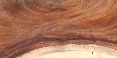 Solid Wood Coffee Table