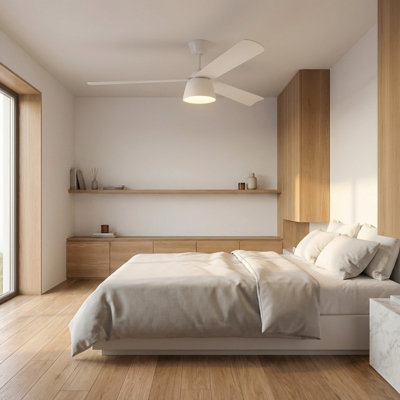 Ventilateur de plafond Smart 60 DEL