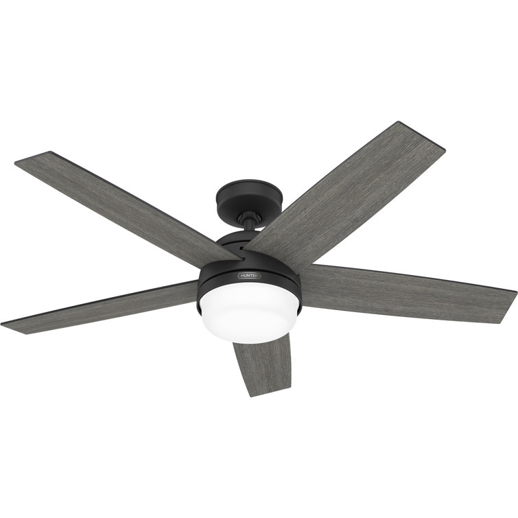 Hunter 52 inch Damp Rated Ceiling Fan with LED Light Kit and Handheld Remote