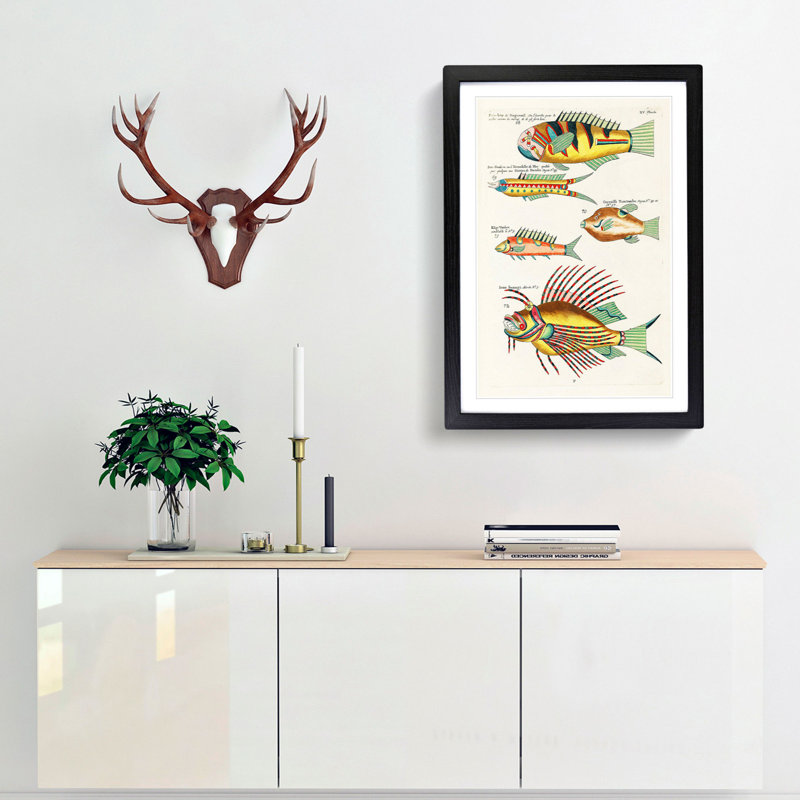East Indies Fish Illustrations XV by Louis Renard - Picture Frame Graphic Art Print, 36cm H x 27cm W x 2cm D, Black Framed