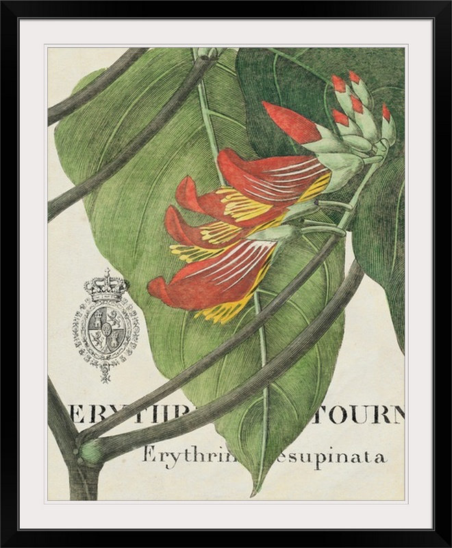 « botanique tropicale i », impression, H 23 po x l 20 po x P 1 po, Cadre noir