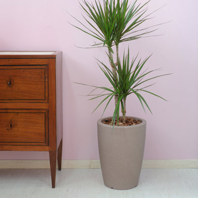 Grieteke Pot Planter
