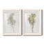 «Farmhouse Pressed Flower I», ensemble de 2 impressions-1472801473-1472801472