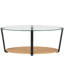 Bryhana Floor Shelf Coffee Table