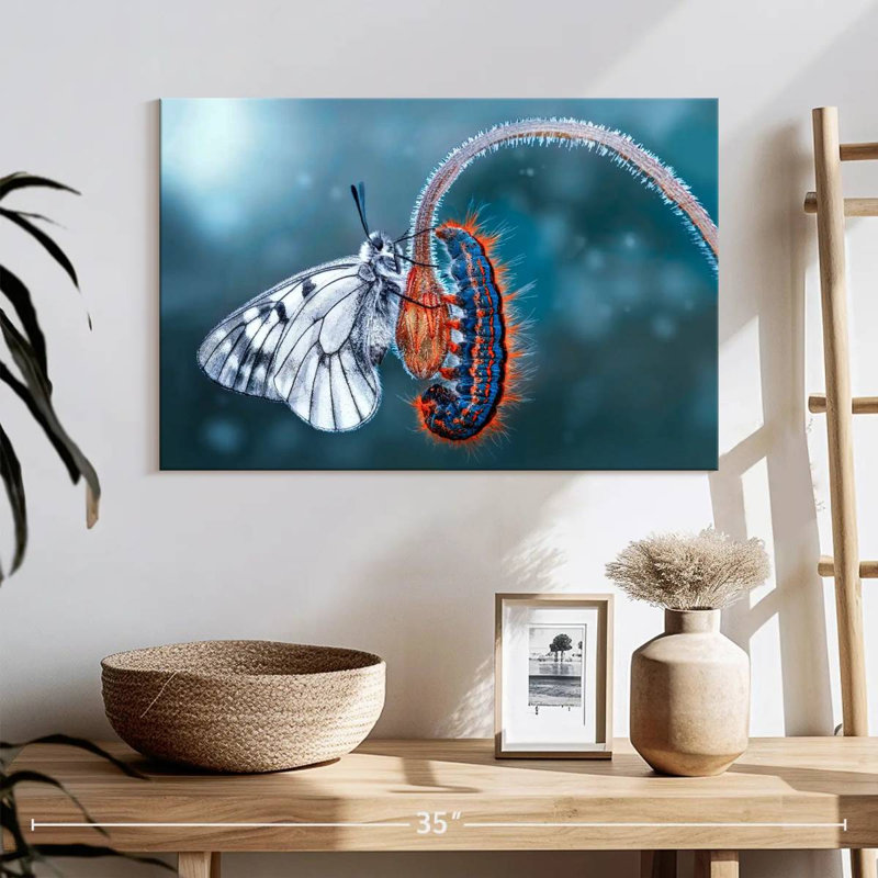Brampt Butterfly Destiny, 16" H x 24" W