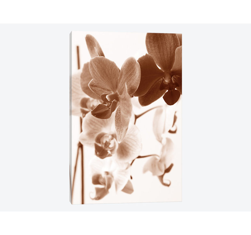 « rêvey orchidéess i », impression sur toile, H 12 po x l 8 po x P 0,75 po, Toile tendue, Pas de tapis