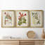 «Vintage Flowering Trees V», ensemble de 3 cadres photo sur toile-1078820414-1078820413
