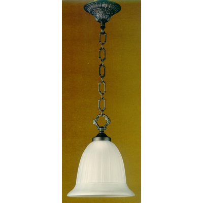Berkowitz 1 - Light Dark Flemish Bell Pendant