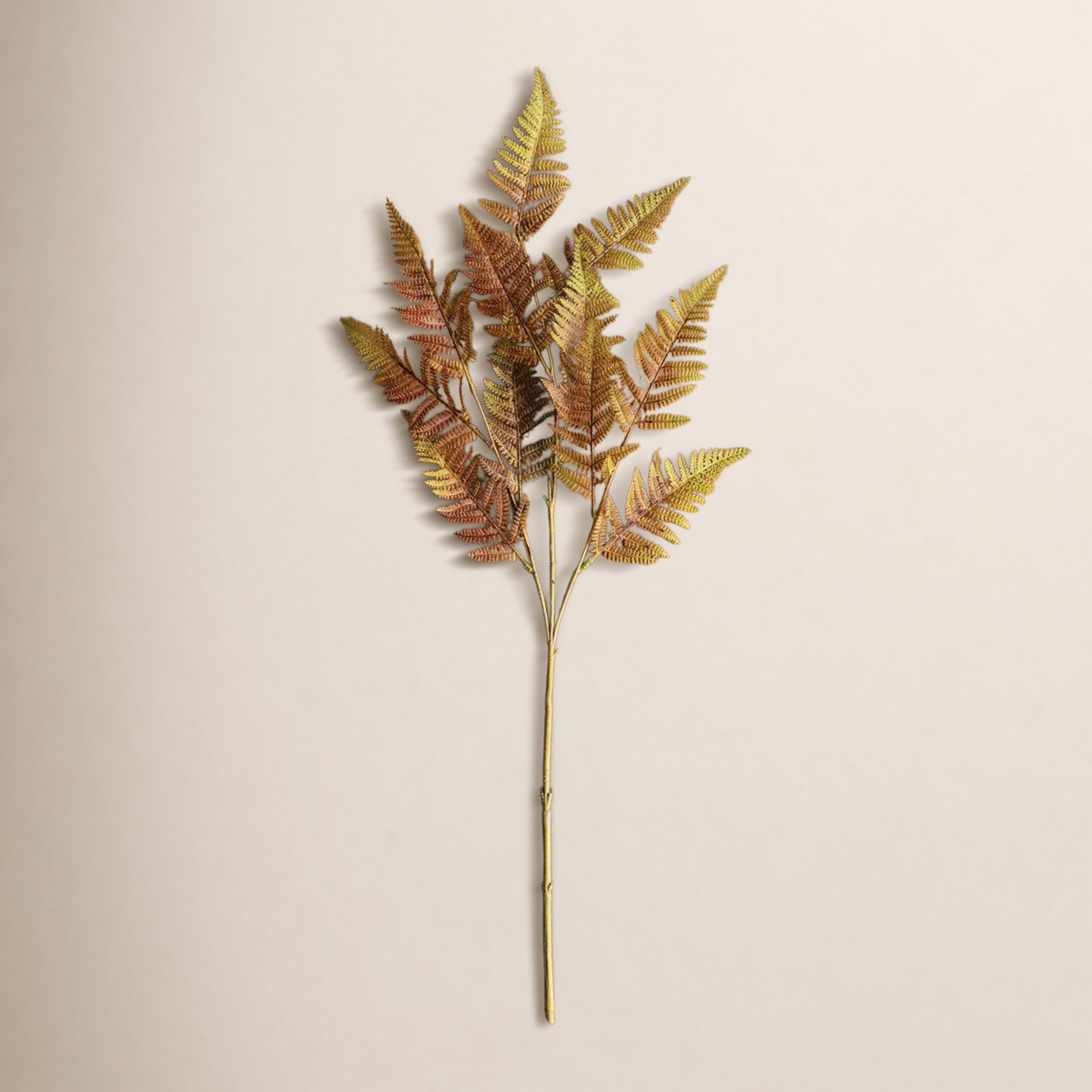 Fern Floral Stems