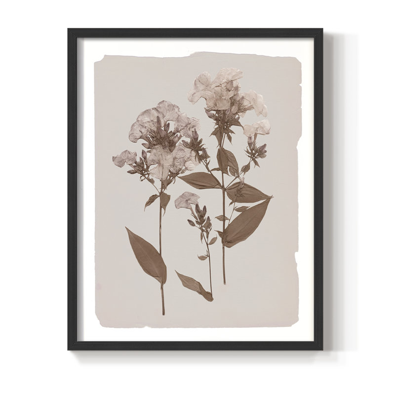 Impression encadrée monochrome Botanical II - bois massif, Noir, noir, noir, noir, H 11 po x l 9 po