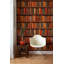 Murale bibliothèque antique avec papier peint antique-554503929