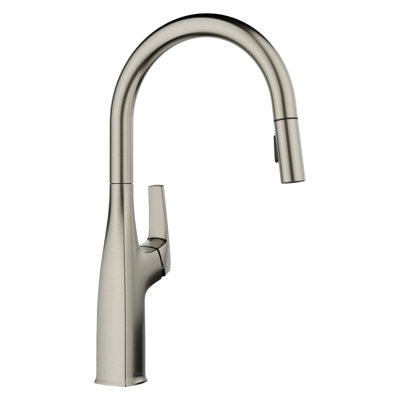 Rivana High-Arc Pull-Down Dual-Spray Kitchen Faucet