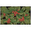 Tapis Holiday The Aisle® Yusuke Hollyberries - noir