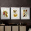 Exotic Botanicals I - Impression personnalisée de qualité supérieure avec cadre mat - 3 pièces-724752515-724752514
