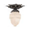 1 - Light Flush Mount