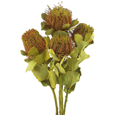 Arrangement Coccinea