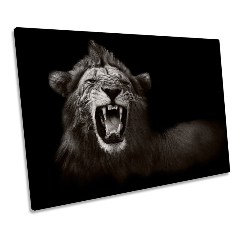 Lion Roar Mono B&W - Wrapped Canvas Print, 91.4cm H x 137.2cm W x 4cm D