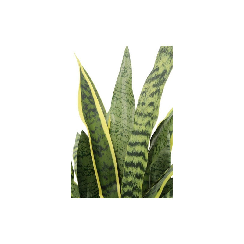 30" Artificial Snake Plants in Black Pots