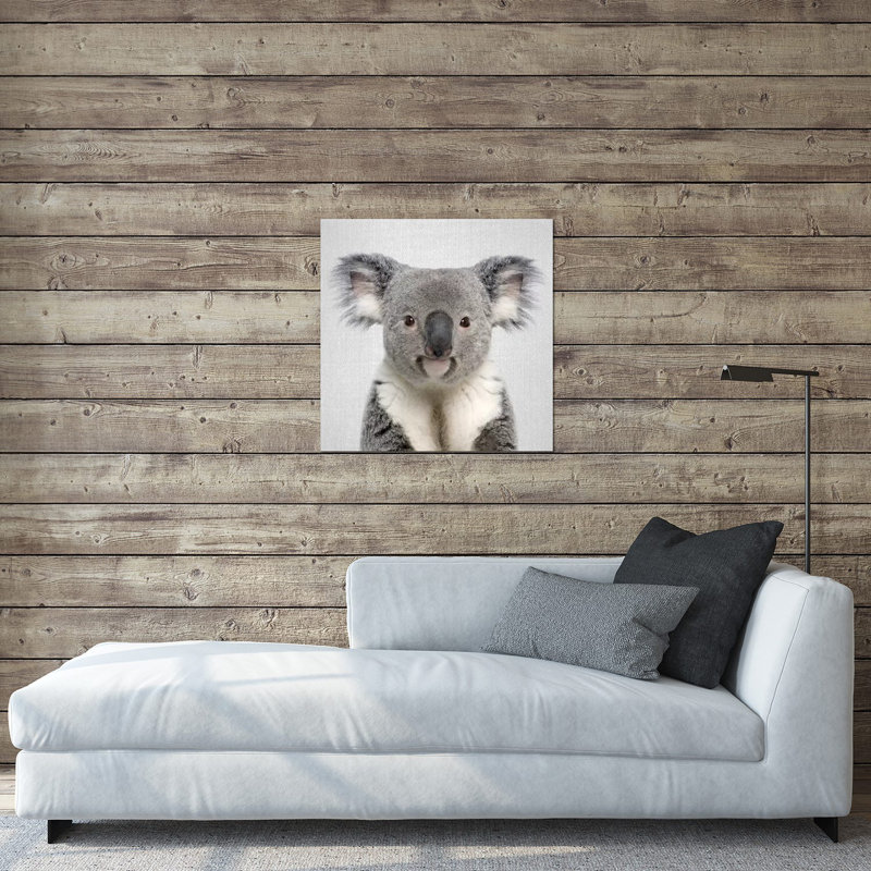 Koala, impression sur verre acrylique, H 24 po x l 24 po x P 0,25 po