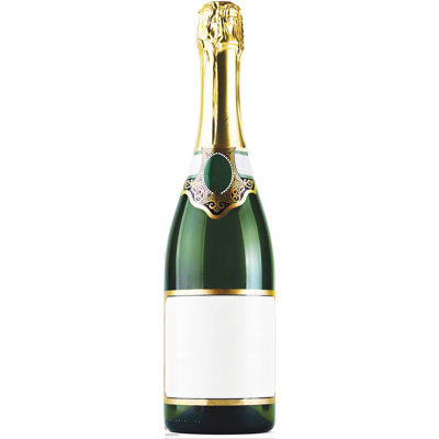 Bottle of Champagne Cardboard Standup