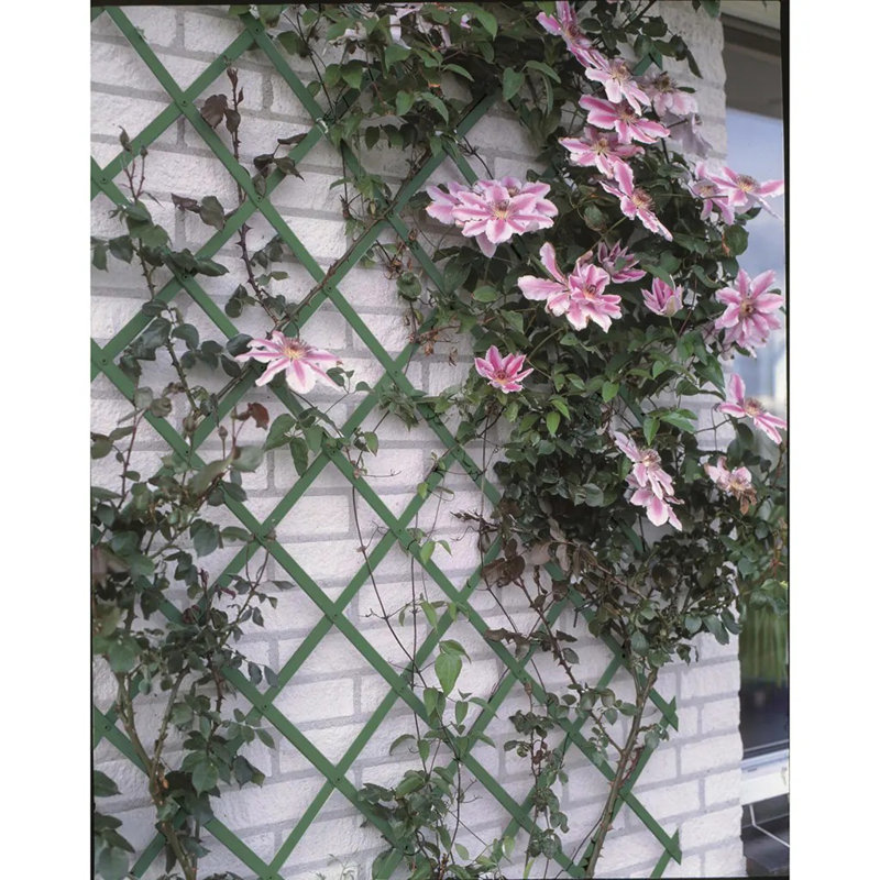 Combray 200cm H x 100cm W Vinyl Lattice Panel Trellis