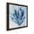 Black Framed