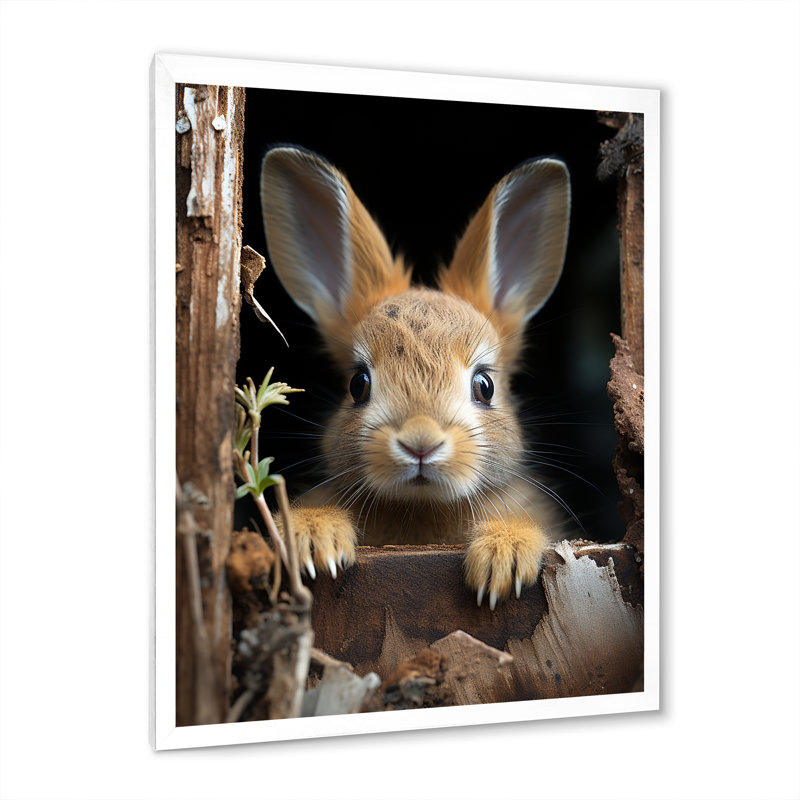 Drôle de lapin, reproduction d'art sur toile, H 20 po x l 12 po x P 1 po, Cadre photo blanc