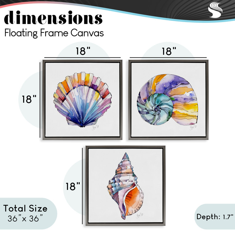 Ensemble de cadres flottants 3 pièces Sunlit Seashells Watercolors, design par Shelly Craig, H 18 po x l 18 po