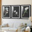 Orchidée sur ardoise I - reproduction sur mesure encadrée de qualité supérieure - 3 pièces-1128821324-1128821326