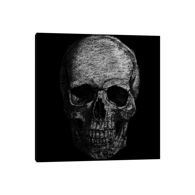 Skull Fibers - Wrapped Canvas Print, 30.48 cm H x 30.48 cm W